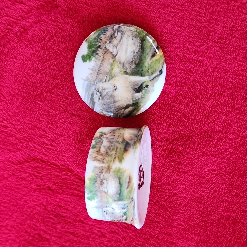 Newhall Staffordshire Bone China, Trinket Picture Box. England